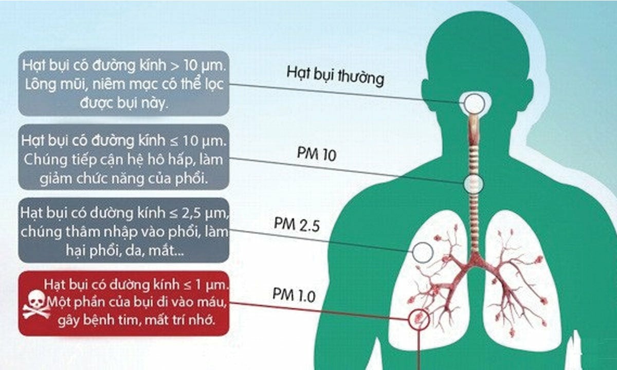 Lọc khí Air Filter