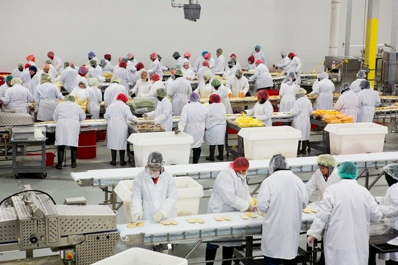 Phân biệt SSOP, GMP và HACCP trong sản xuất thực phẩm